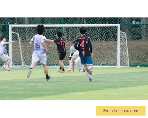 高清直播足球比赛视频全程呈现赛场激情与精彩瞬间实时解说战术分析